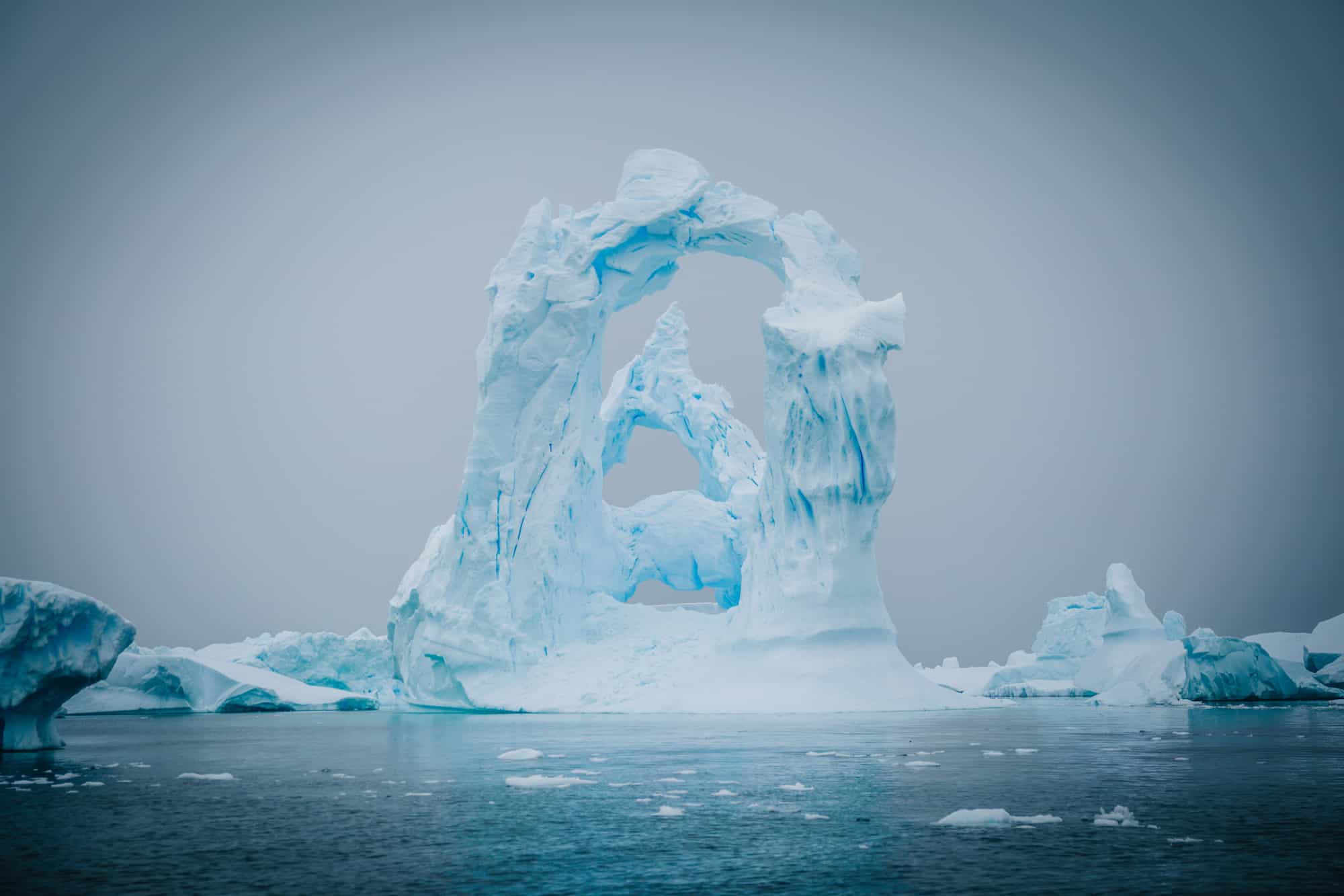 surprising things antarctica