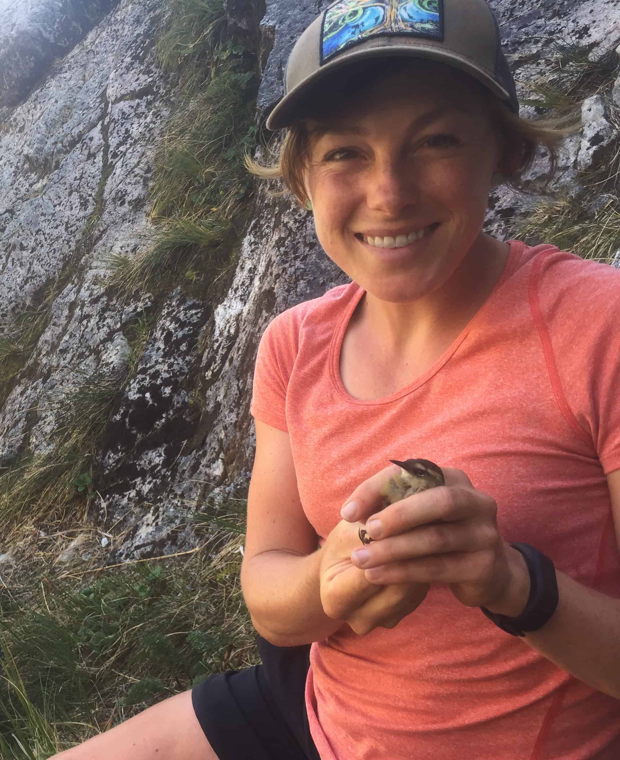 10 things I learned while living with the birds in Fiordland - Young ...