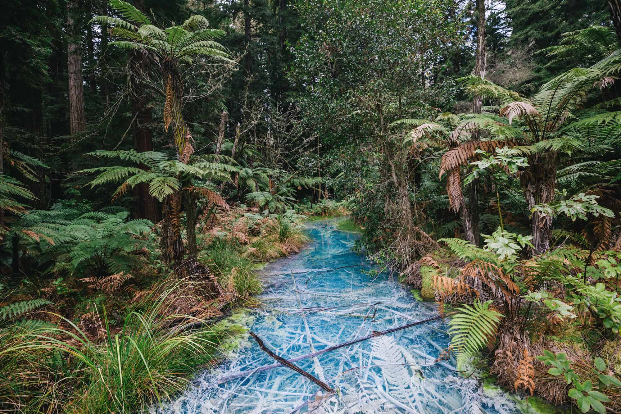 instagram spots Rotorua