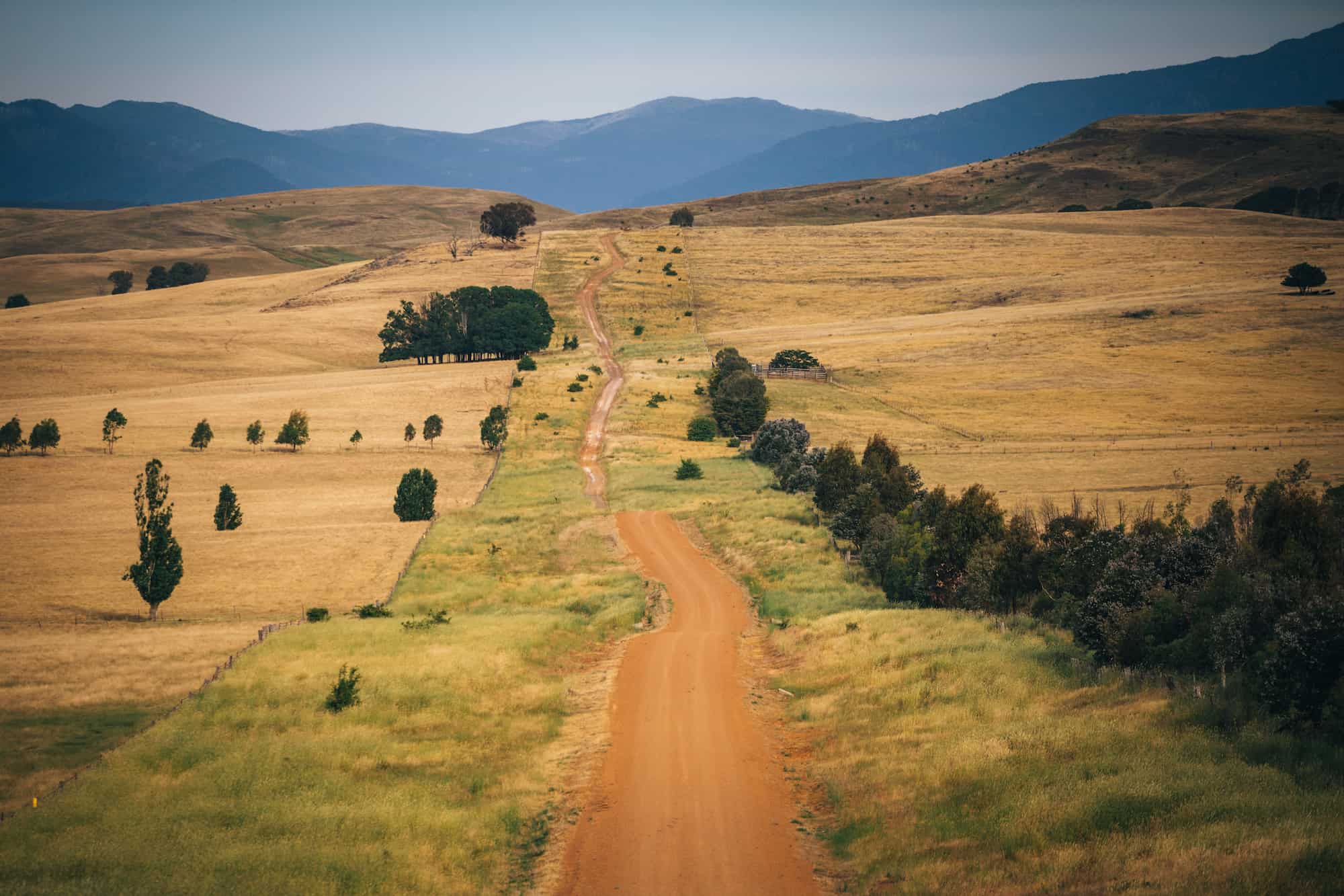 Discover the Beauty of Victoria's High Country