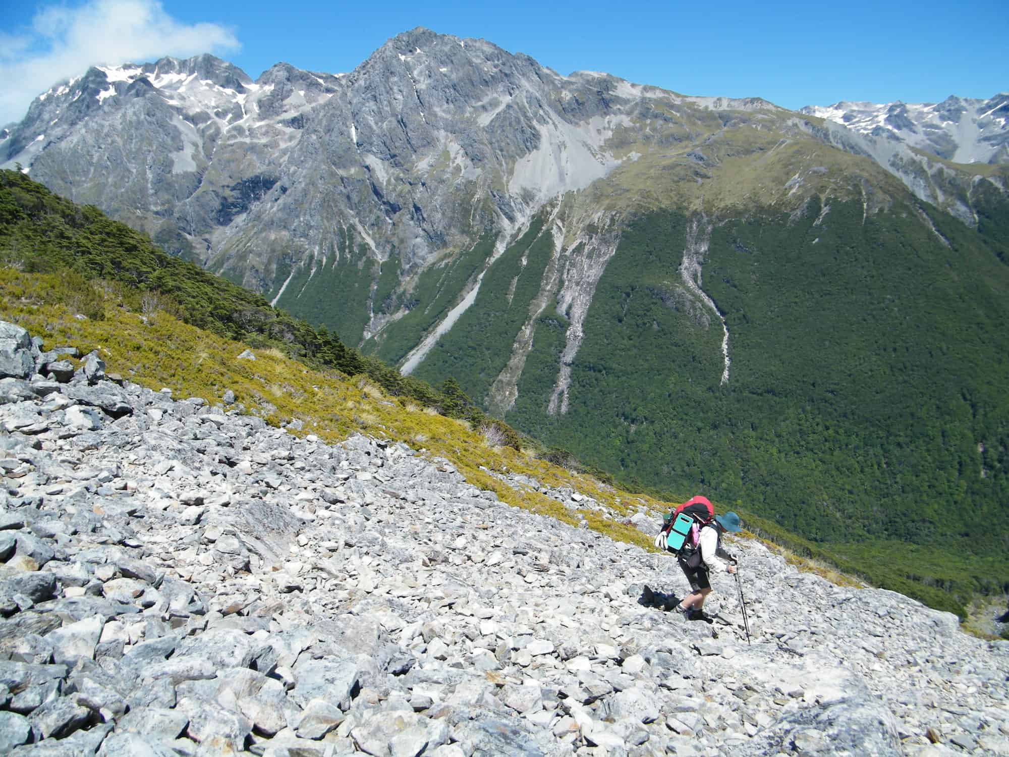 best alpine hikes new zealand