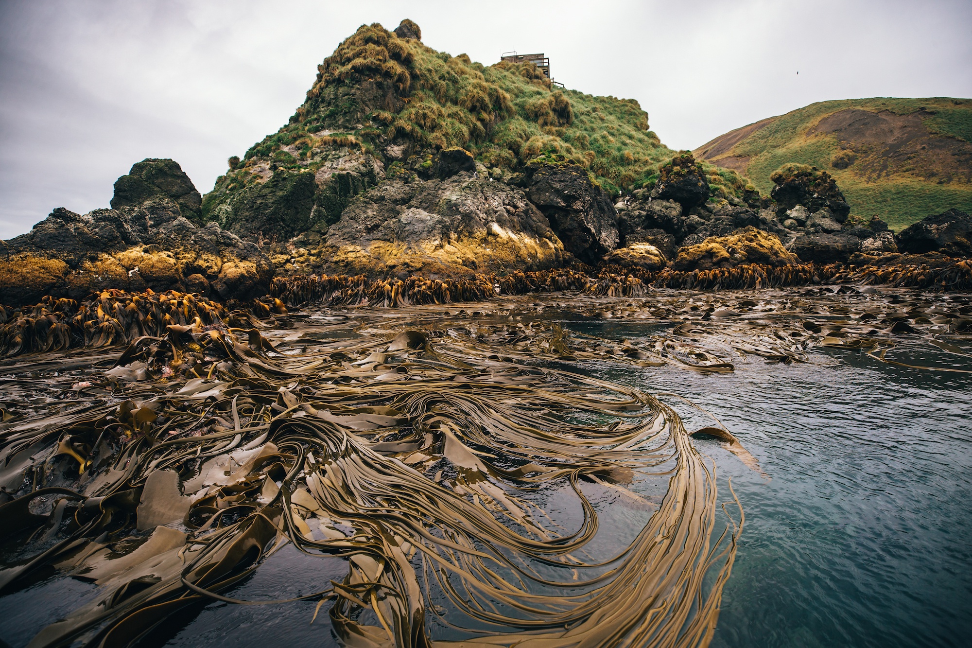 subantarctic islands travel