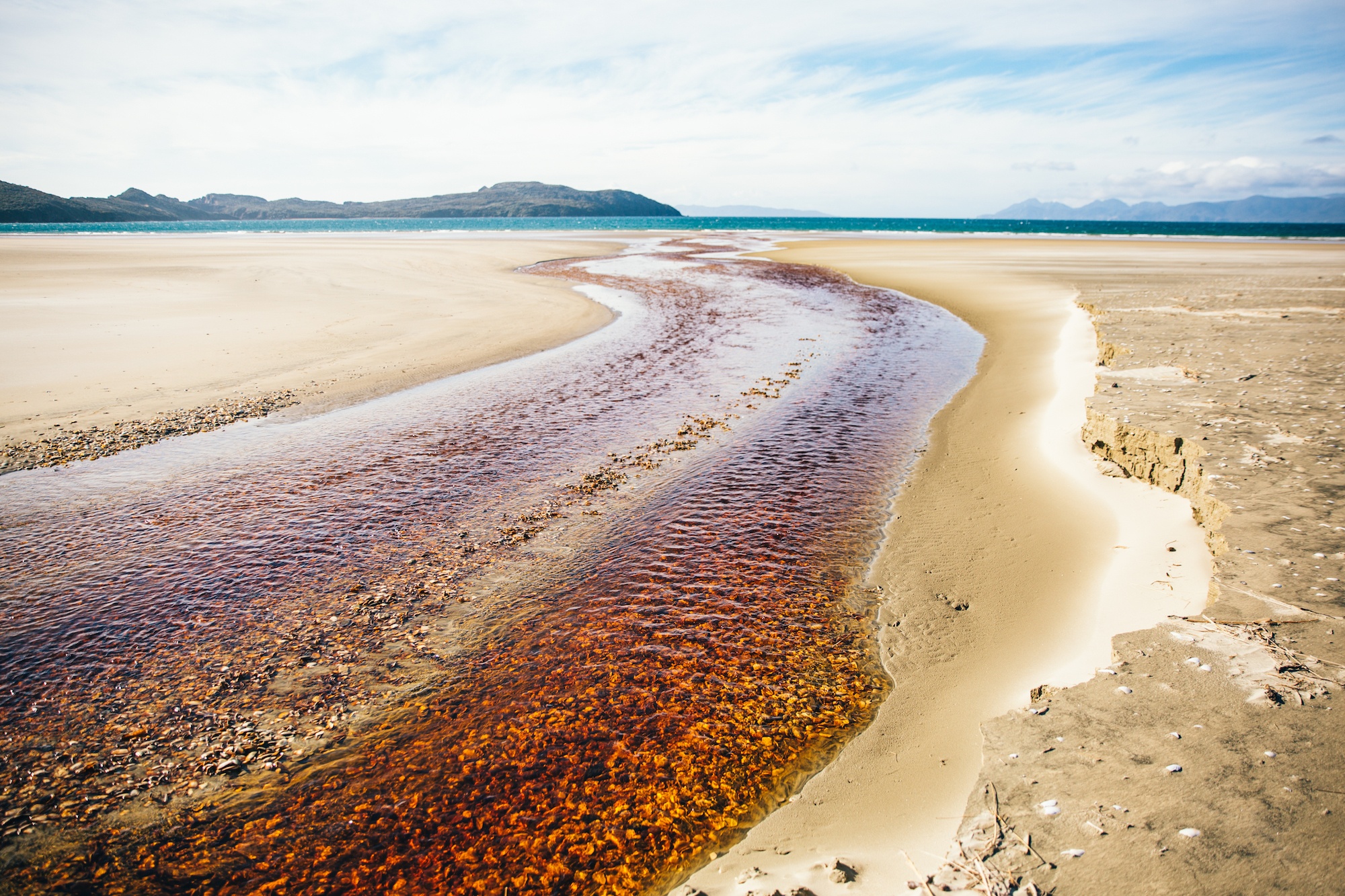 visit stewart island