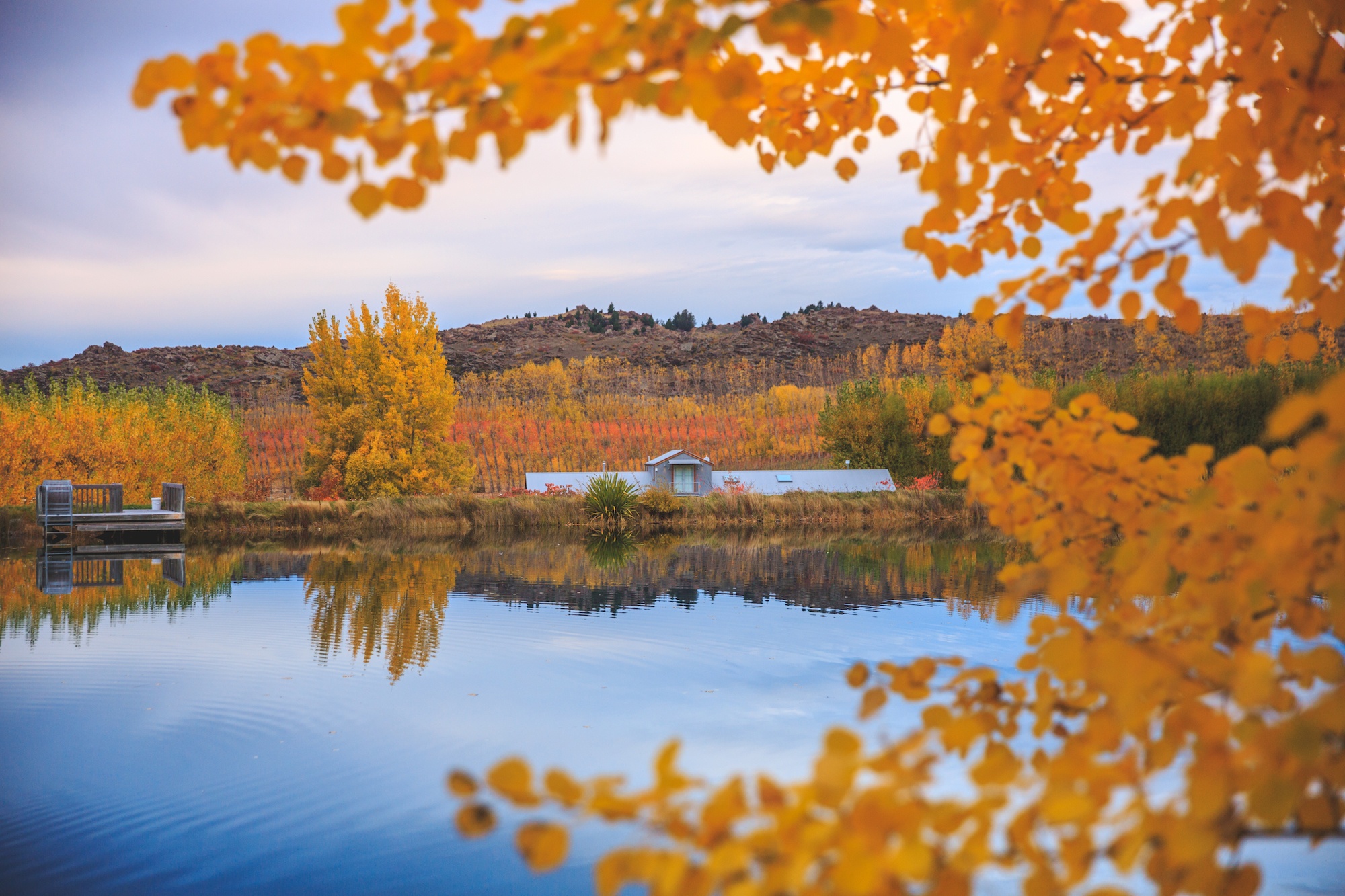 new zealand autumn