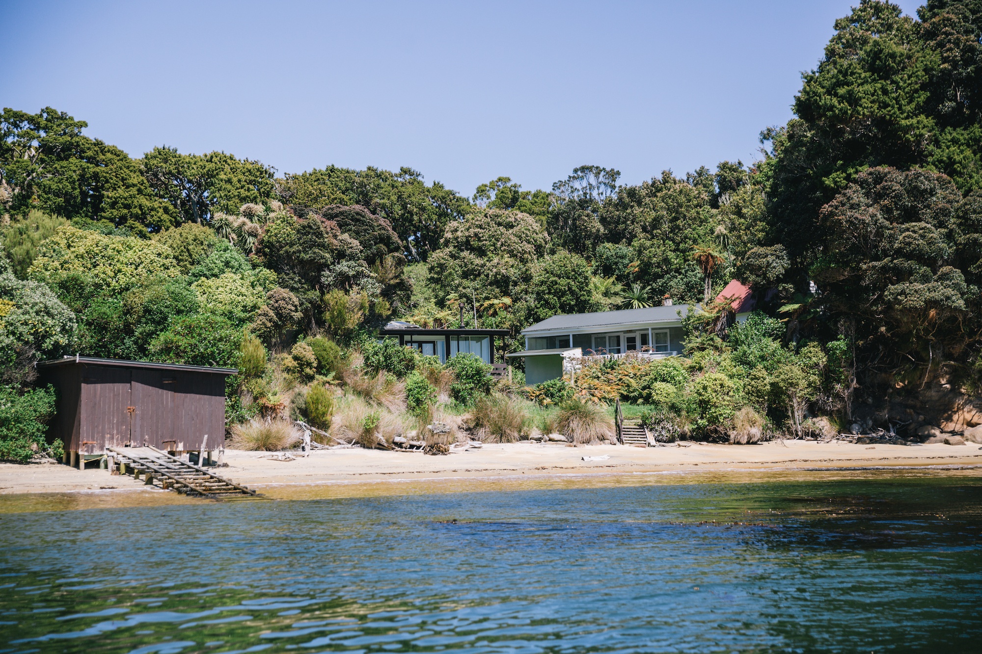 visit stewart island