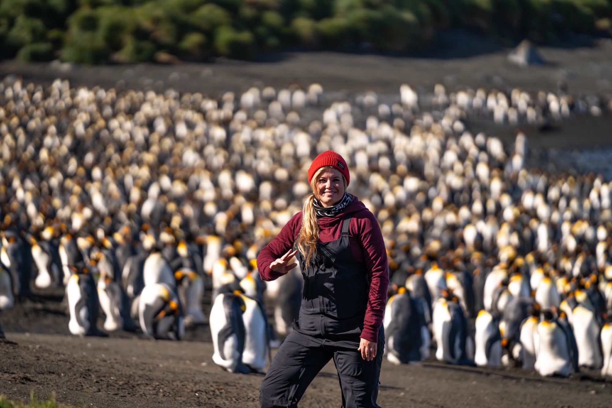 Traverc Facetune_11-03-2019-12-59-02-copy Penguins you might meet in Antarctica  