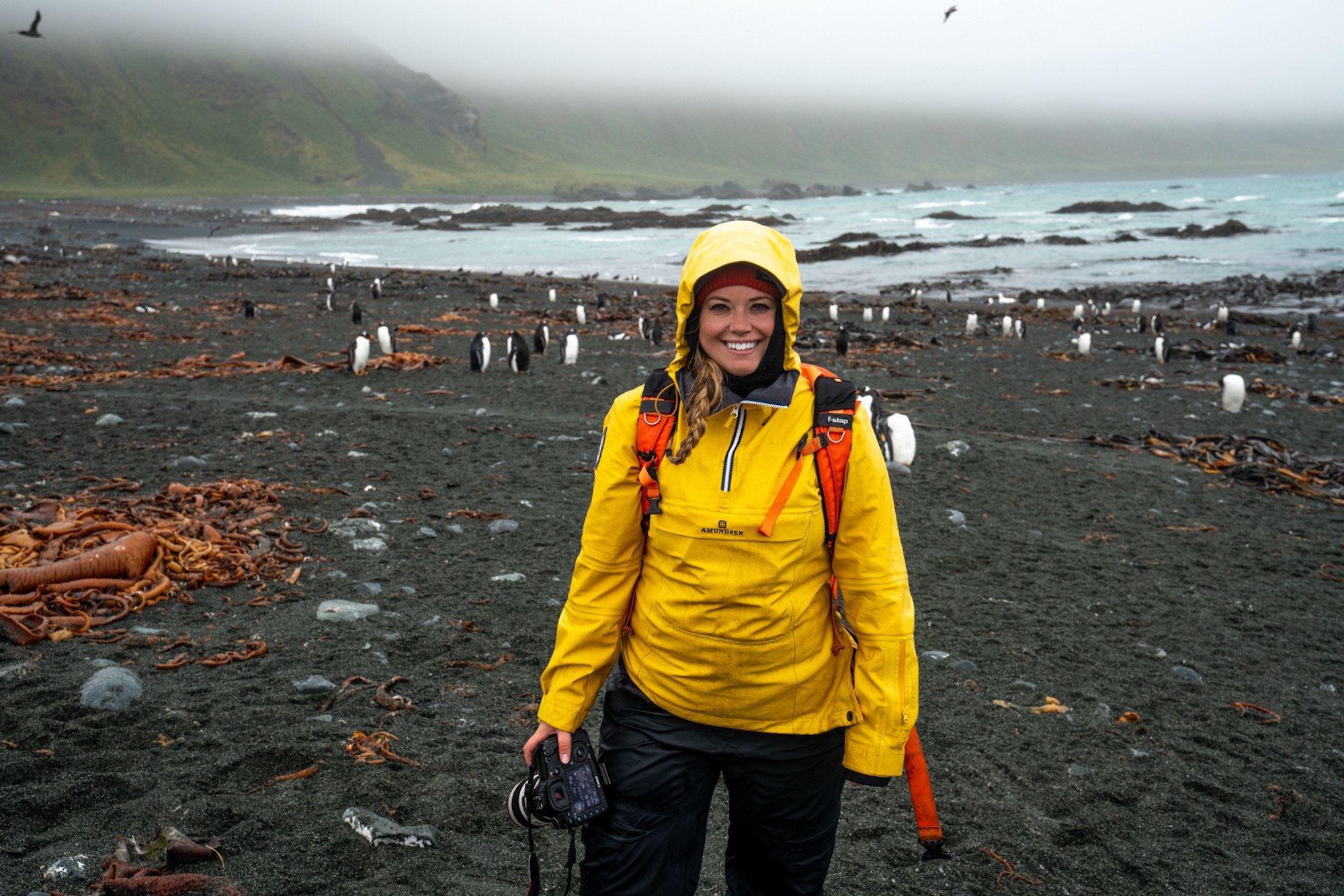 visit Macquarie island