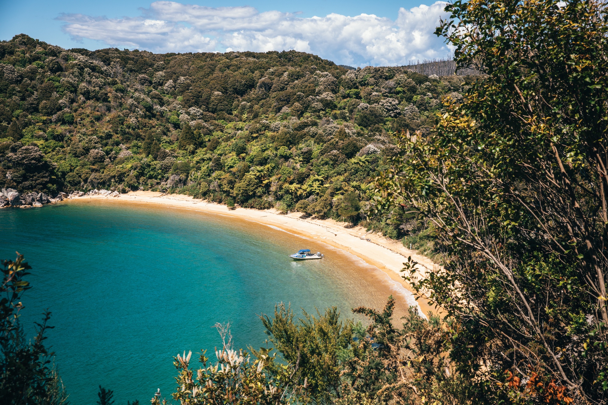 sustainable travel in the Abel Tasman