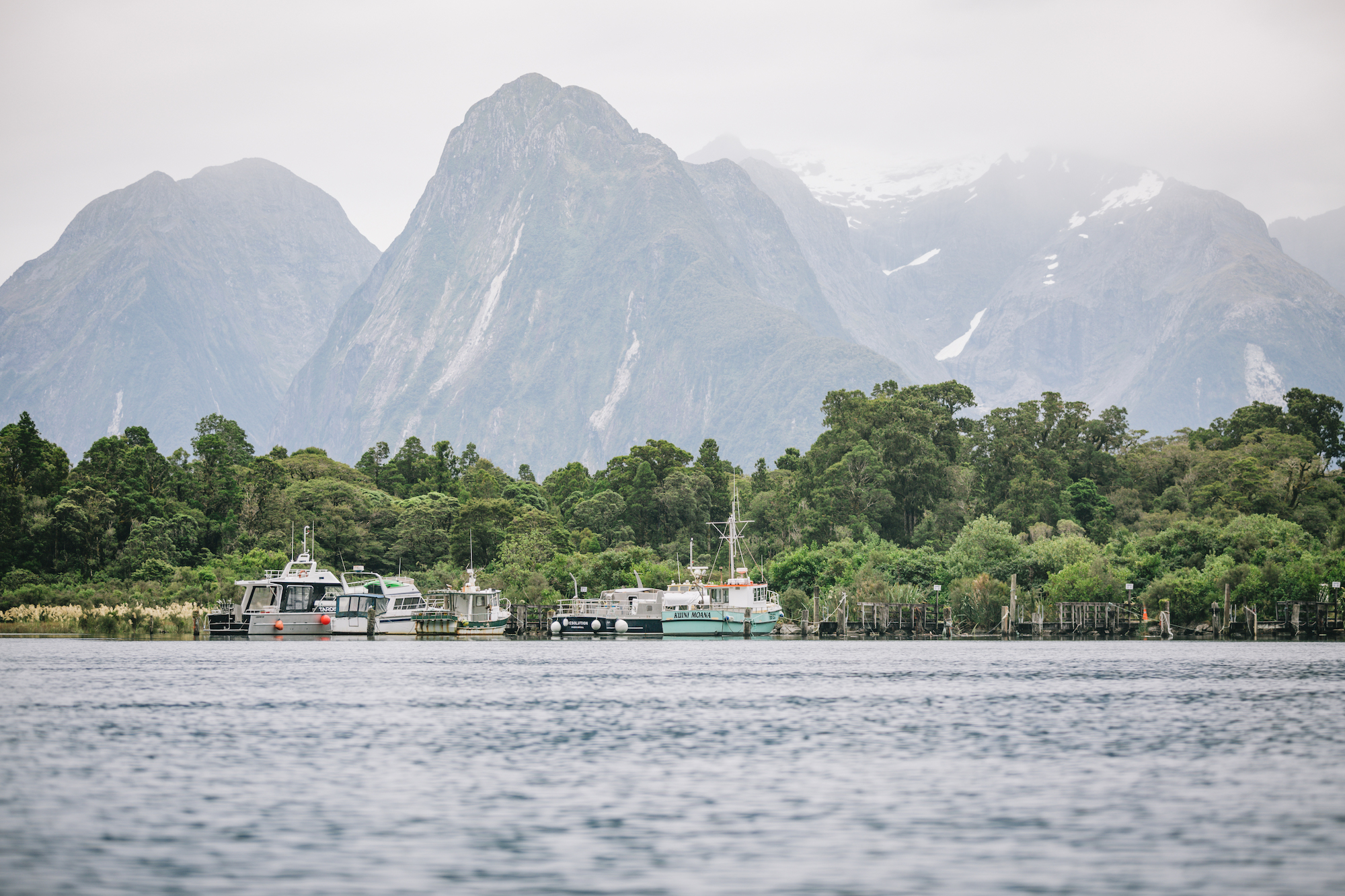 Traverc 0O6A7748-copy My top 16 things to do in Fiordland for an unforgettable adventure  