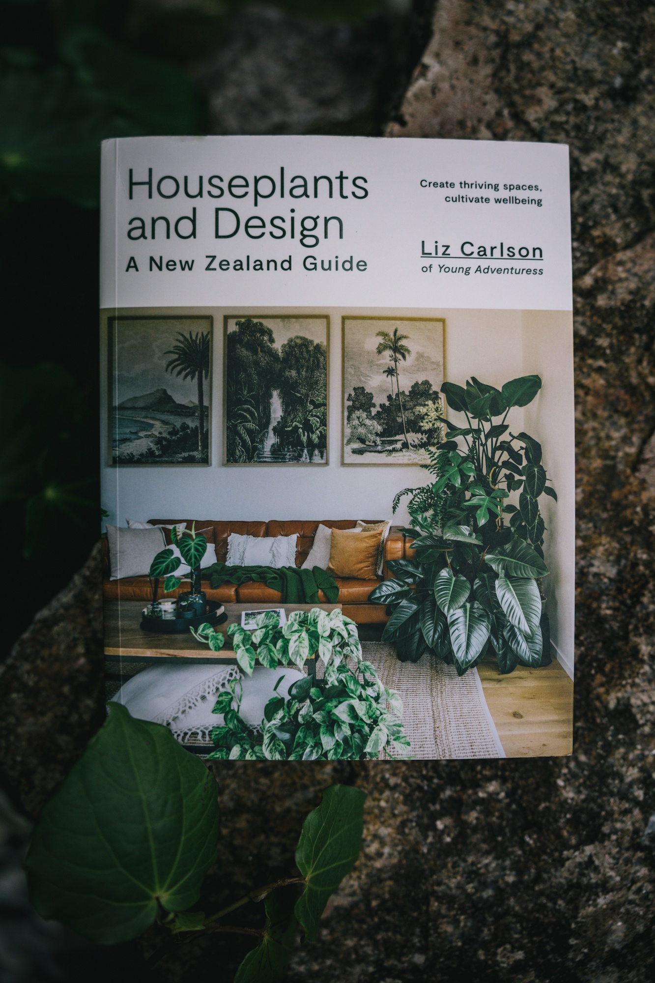 Traverc 0P4A3462-copy So I just wrote a book about houseplants and happiness  