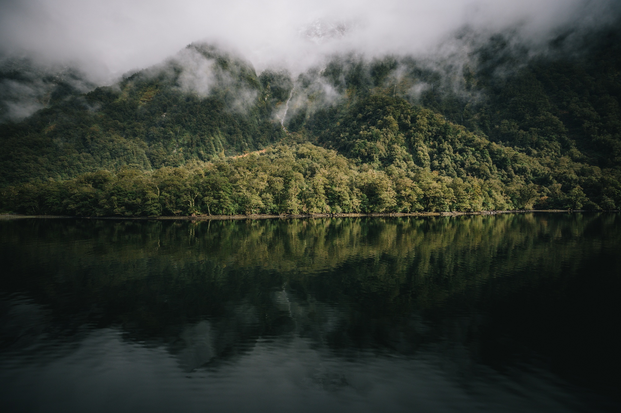 overnight in doubtful sound