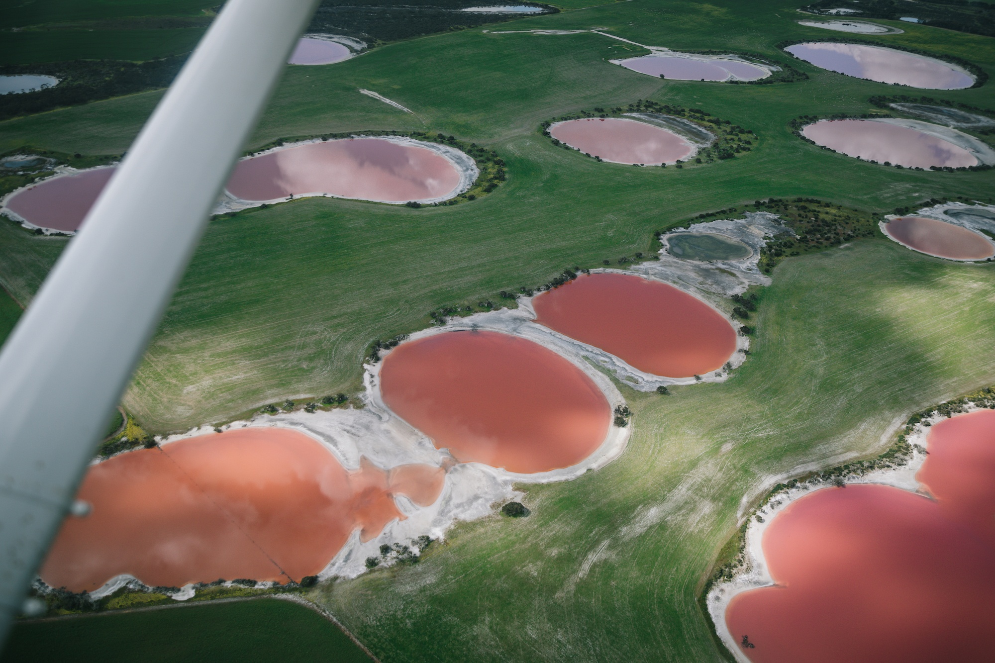 australia's pink lakes