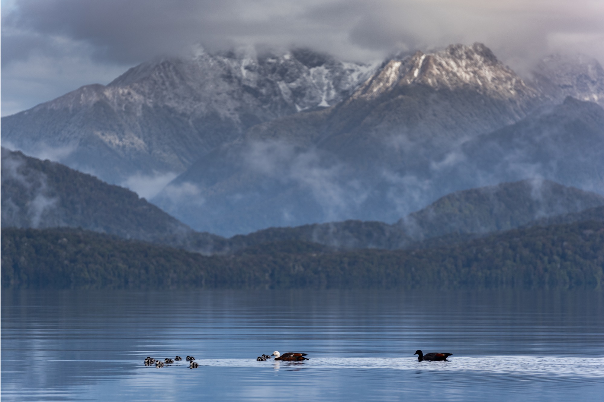Traverc 2 My top 16 things to do in Fiordland for an unforgettable adventure  