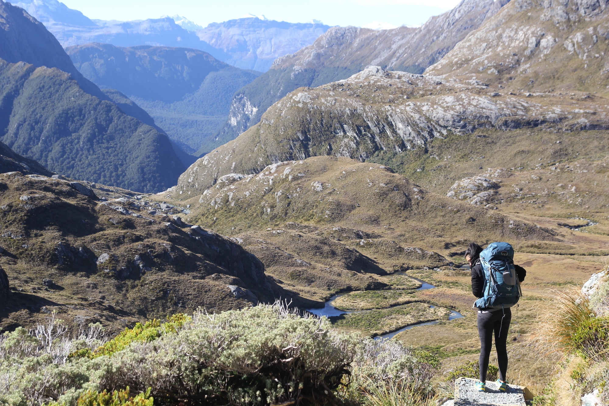 Traverc IMG_6654 My top 16 things to do in Fiordland for an unforgettable adventure  