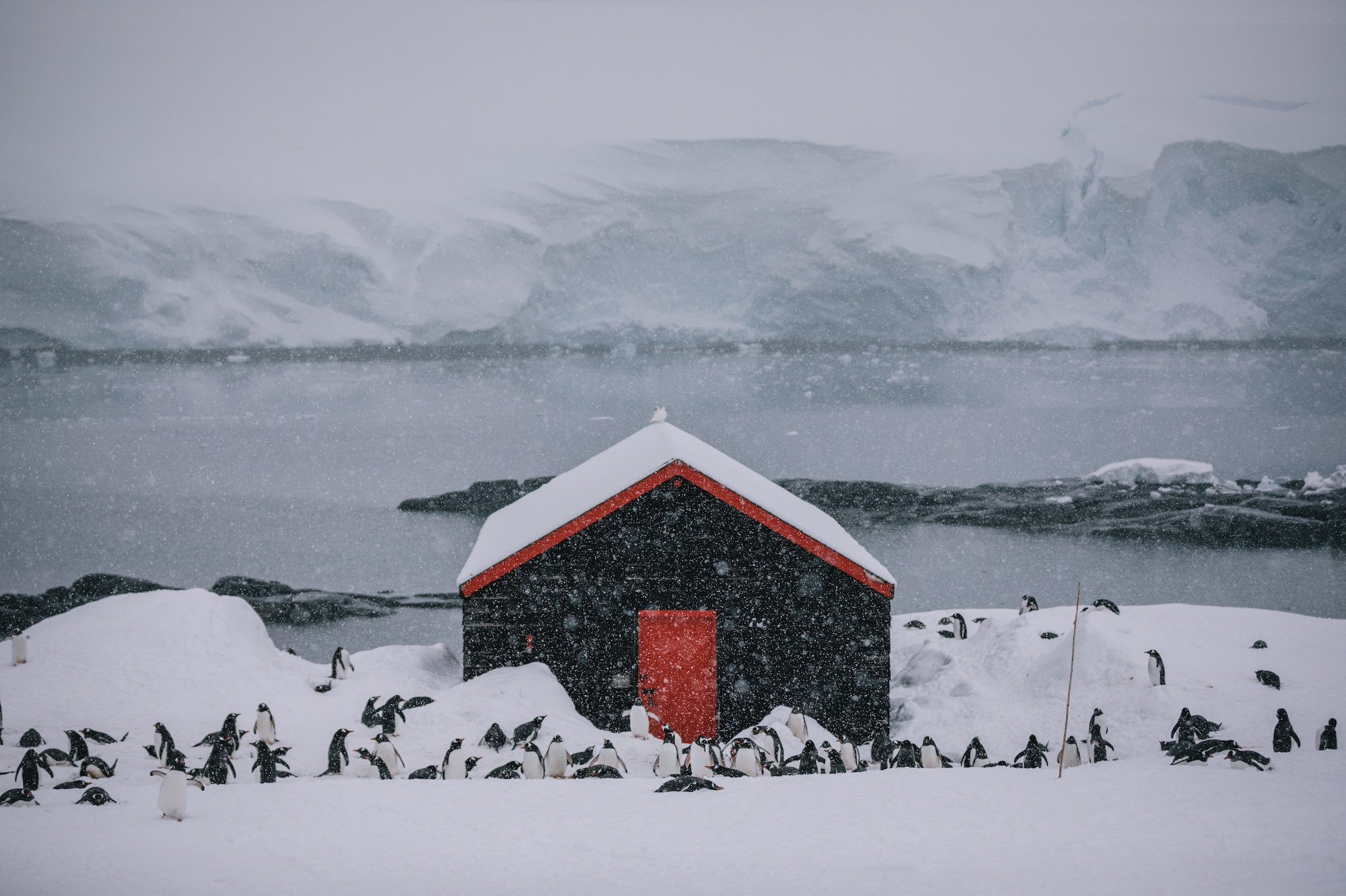 Traverc V5A4003-copy Postcards from Antarctica  