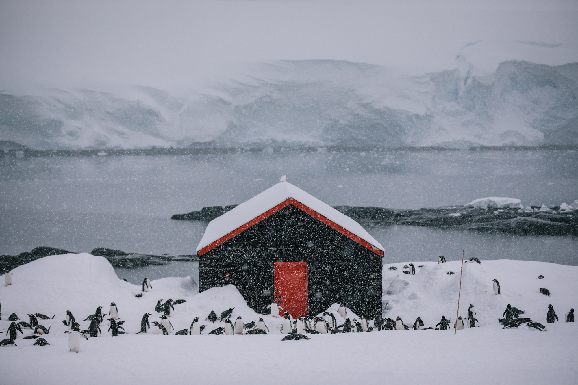 antarctica photos