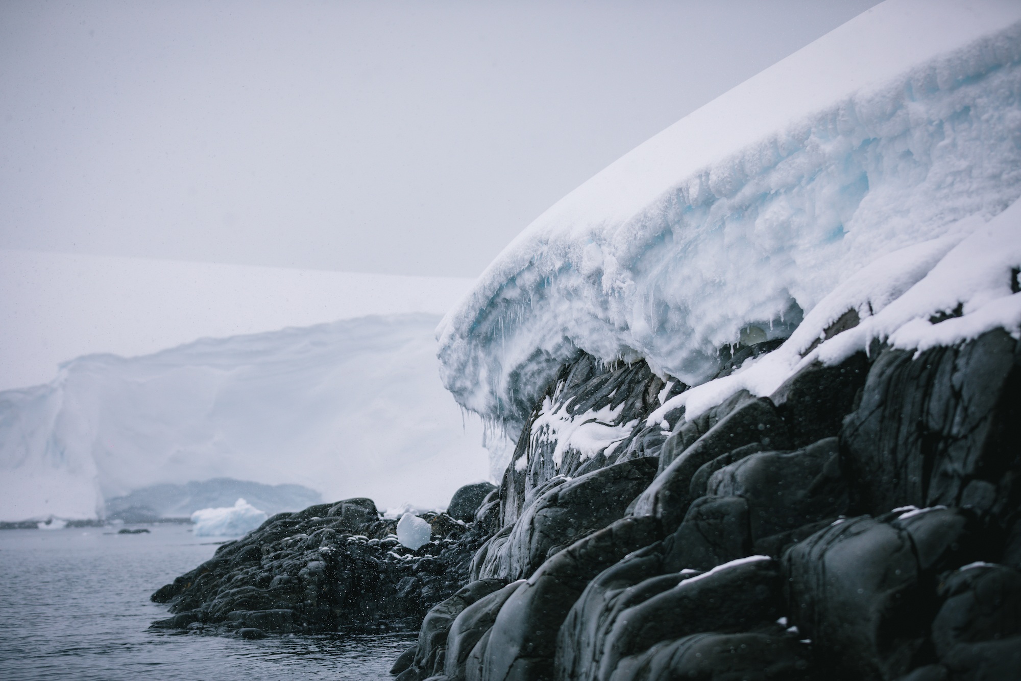 antarctica photos