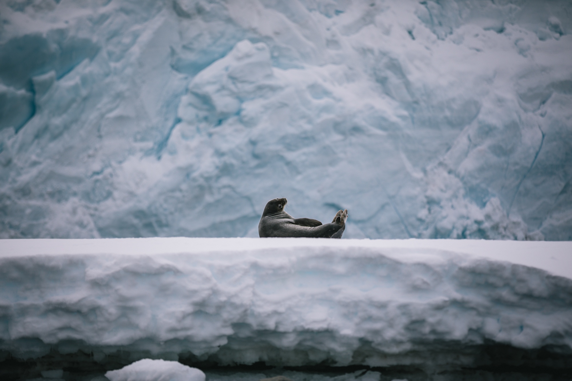 Traverc V5A7829-copy 8 ways Antarctica might unexpectedly change your life  