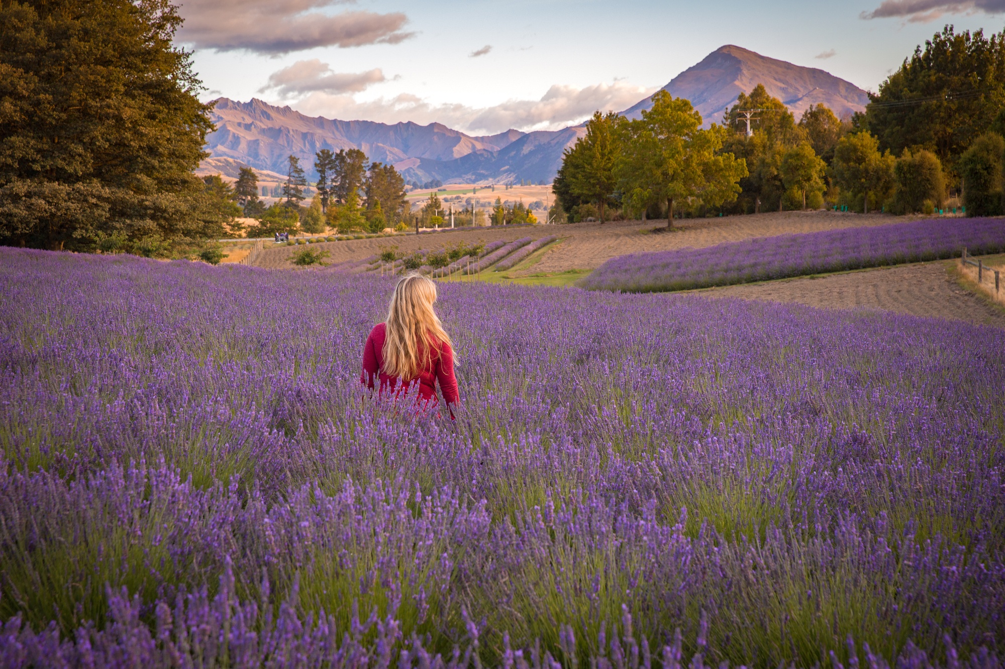 instagrammable spots in wanaka