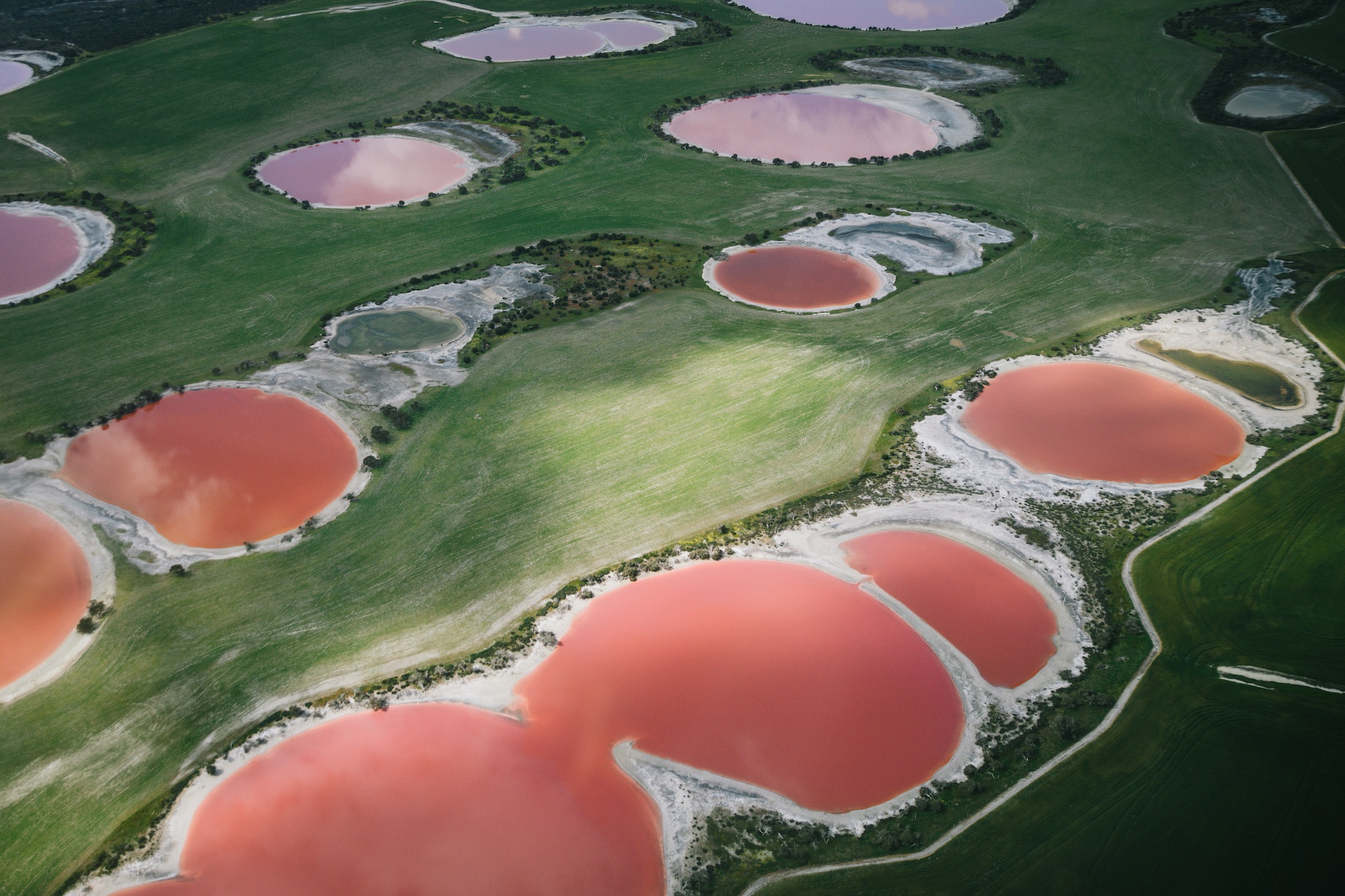 12 Stunning Pink Lakes in the World You Didn't Know Existed