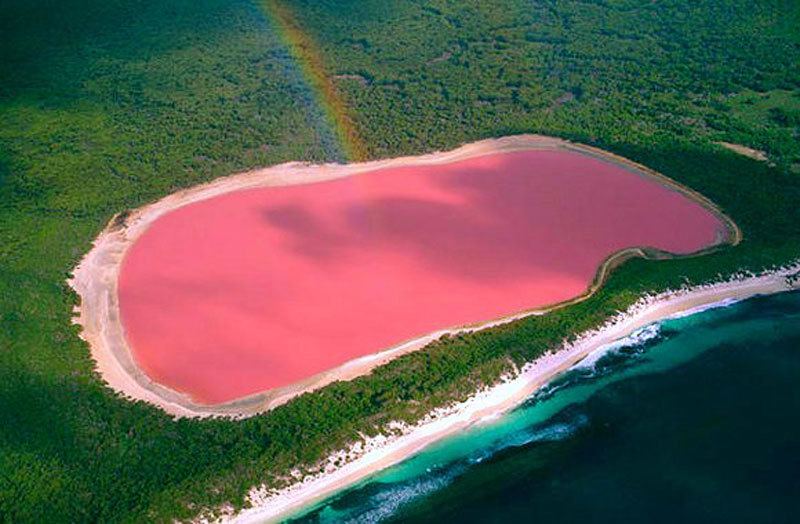 australia's pink lakes