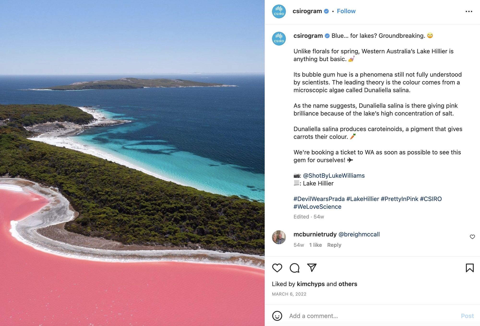 australia's pink lakes