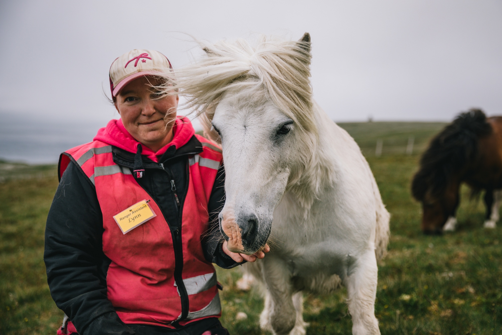 Traverc 136A3520-copy Portraits of the iconic Shetland pony  