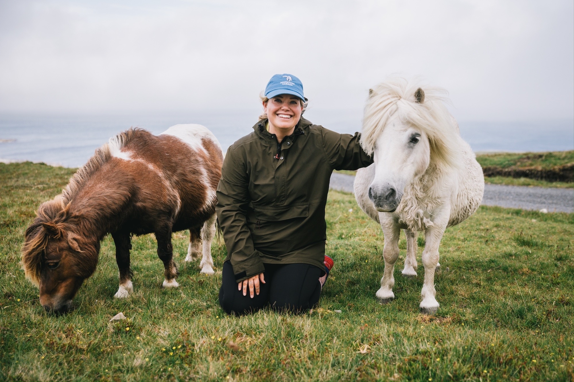 Traverc 136A35471-copy Portraits of the iconic Shetland pony  