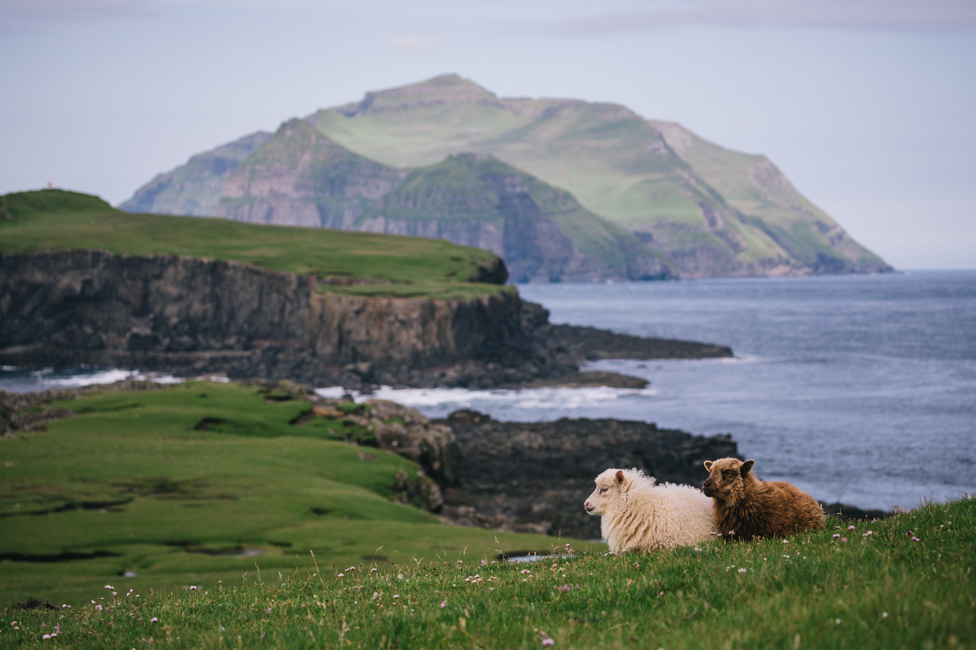 Traverc 136A5458-copy-2 25 photos to inspire you to visit the Faroe Islands  