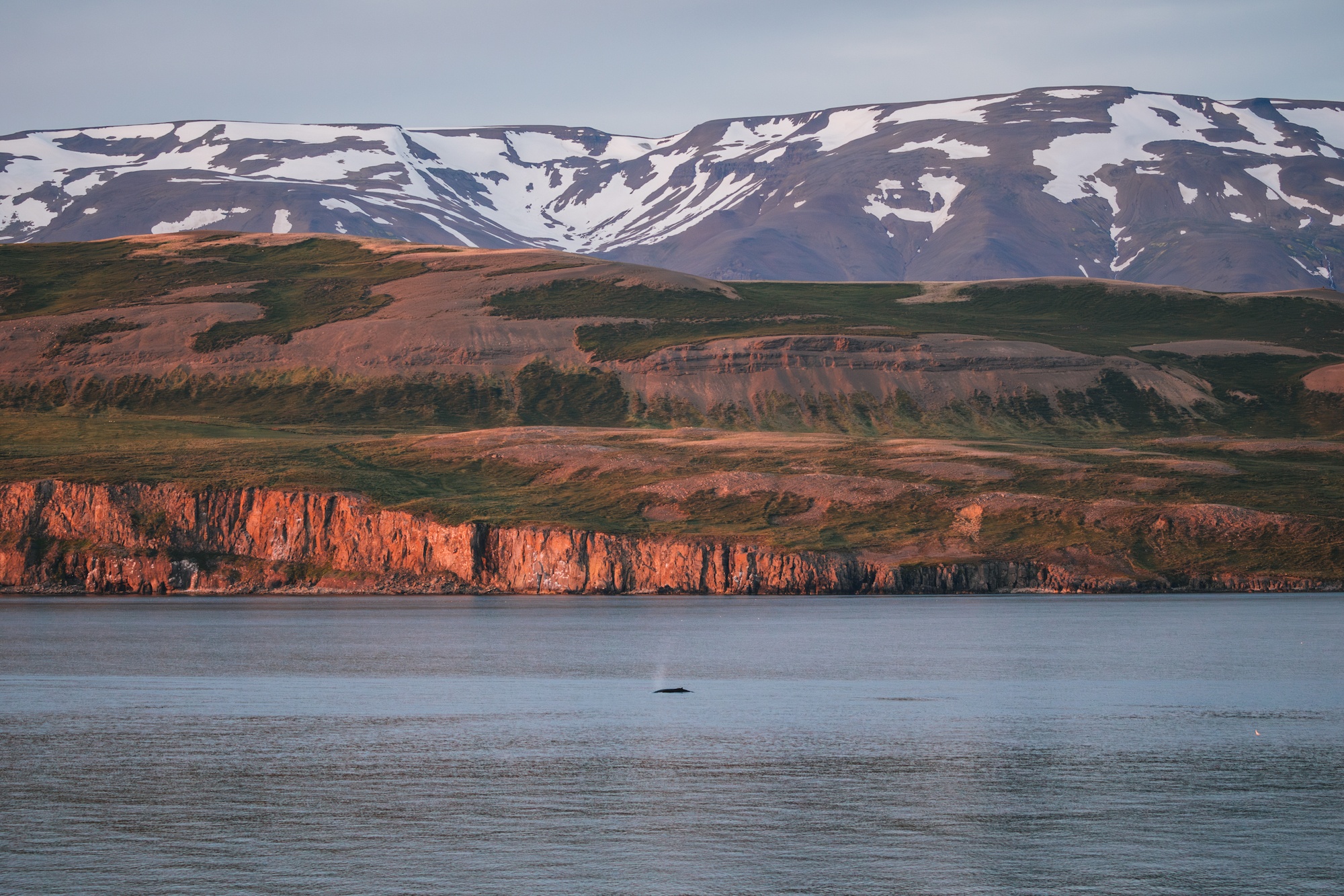 Traverc 136A6960-Enhanced-NR-copy 25 photos to inspire you to visit Iceland by sea  